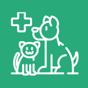 Lek. wet. Dominika Mordal