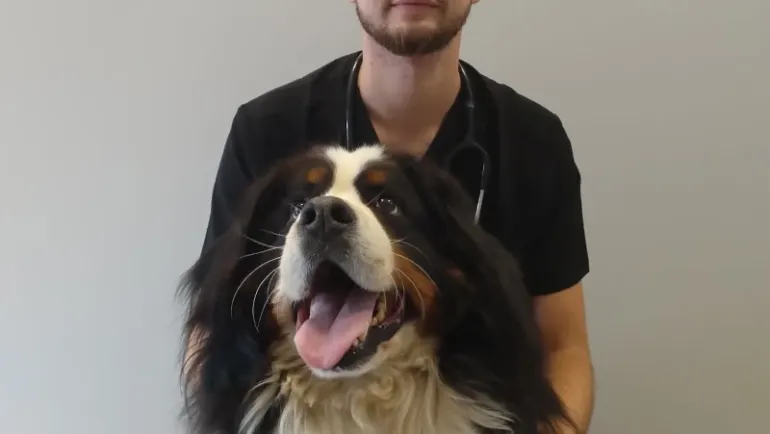 Lek. wet. Marek Nowak